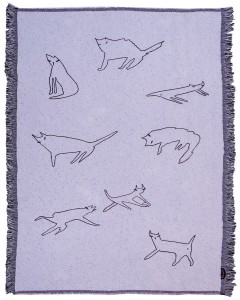 Ana's Cats
